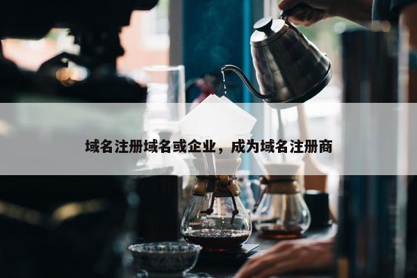 域名注册域名或企业，成为域名注册商
