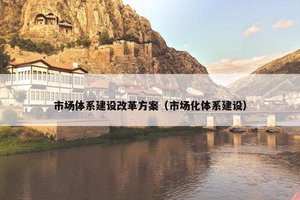 市场体系建设改革方案（市场化体系建设）