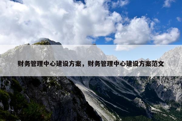 财务管理中心建设方案，财务管理中心建设方案范文
