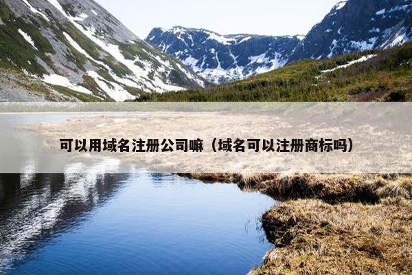 可以用域名注册公司嘛（域名可以注册商标吗）