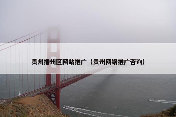 贵州播州区网站推广（贵州网络推广咨询）