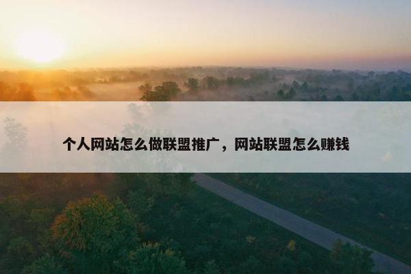 个人网站怎么做联盟推广，网站联盟怎么赚钱