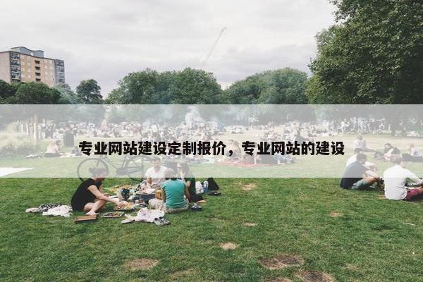 专业网站建设定制报价，专业网站的建设
