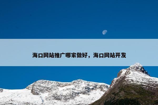 海口网站推广哪家做好，海口网站开发