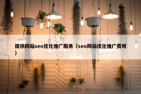 提供网站seo优化推广服务（seo网站优化推广费用）