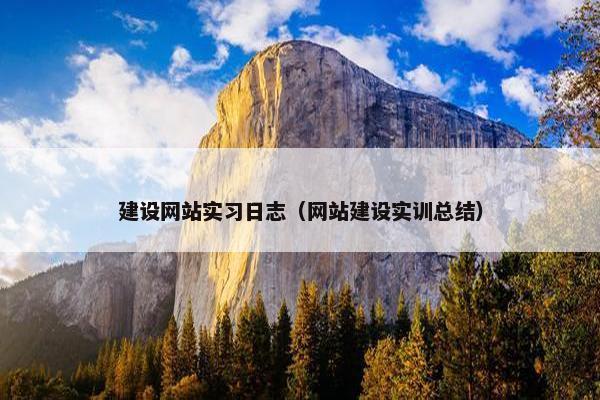 建设网站实习日志（网站建设实训总结）