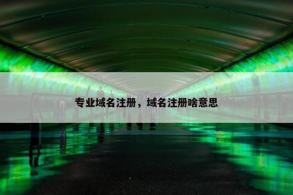 专业域名注册，域名注册啥意思