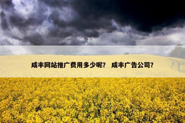 咸丰网站推广费用多少呢？ 咸丰广告公司？