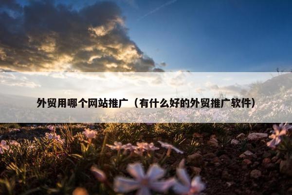 外贸用哪个网站推广（有什么好的外贸推广软件）