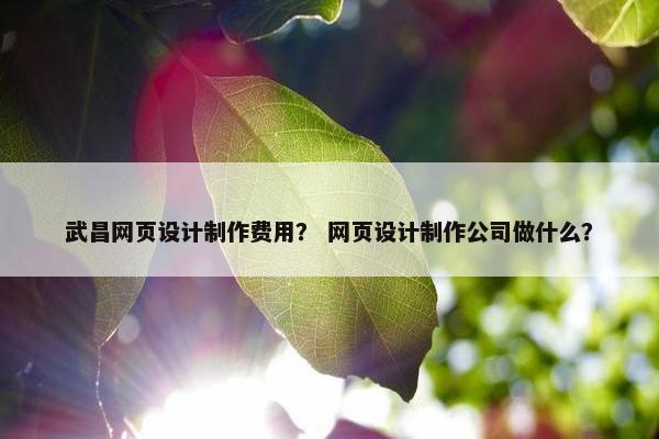 武昌网页设计制作费用？ 网页设计制作公司做什么？