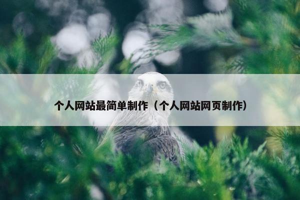 个人网站最简单制作（个人网站网页制作）