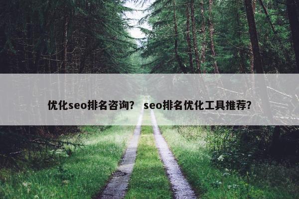 优化seo排名咨询？ seo排名优化工具推荐？