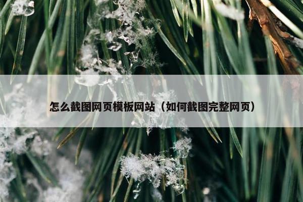 怎么截图网页模板网站（如何截图完整网页）