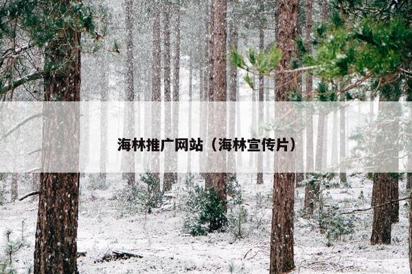 海林推广网站（海林宣传片）