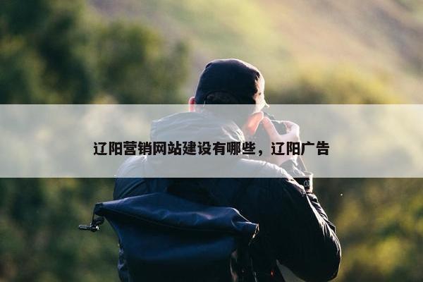辽阳营销网站建设有哪些，辽阳广告