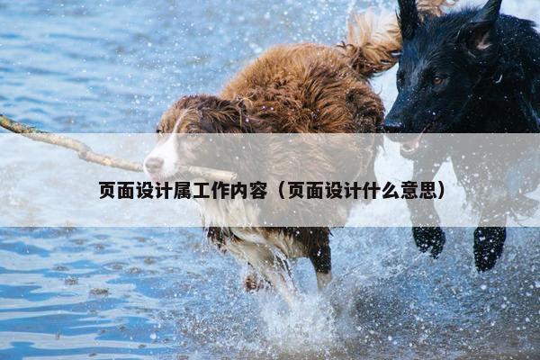 页面设计属工作内容（页面设计什么意思）