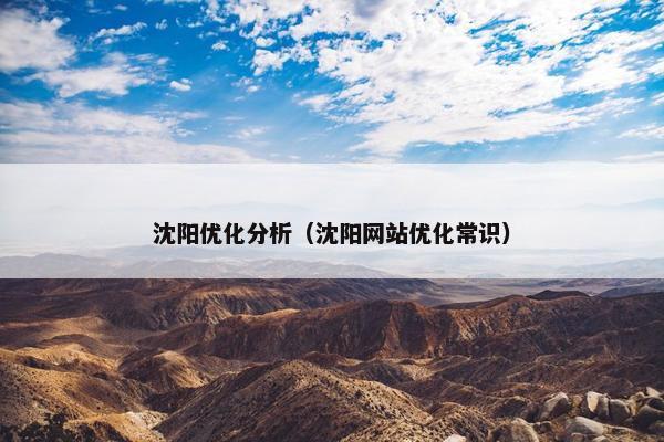 沈阳优化分析（沈阳网站优化常识）