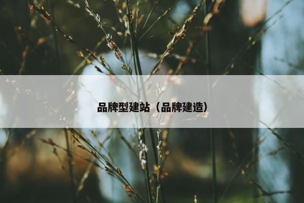 品牌型建站（品牌建造）