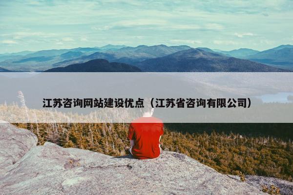 江苏咨询网站建设优点（江苏省咨询有限公司）