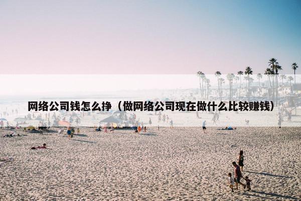 网络公司钱怎么挣（做网络公司现在做什么比较赚钱）