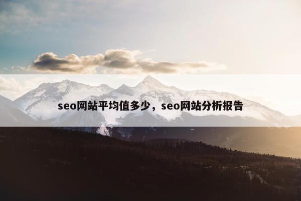 seo网站平均值多少，seo网站分析报告
