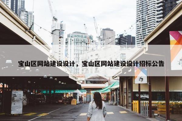宝山区网站建设设计，宝山区网站建设设计招标公告