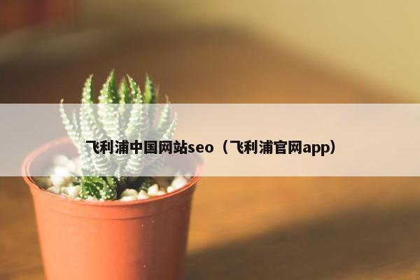 飞利浦中国网站seo（飞利浦官网app）