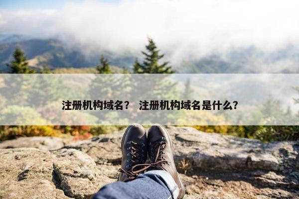 注册机构域名？ 注册机构域名是什么？