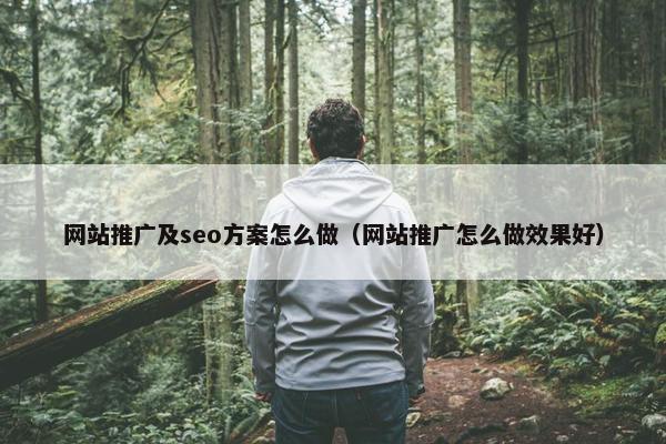 网站推广及seo方案怎么做（网站推广怎么做效果好）