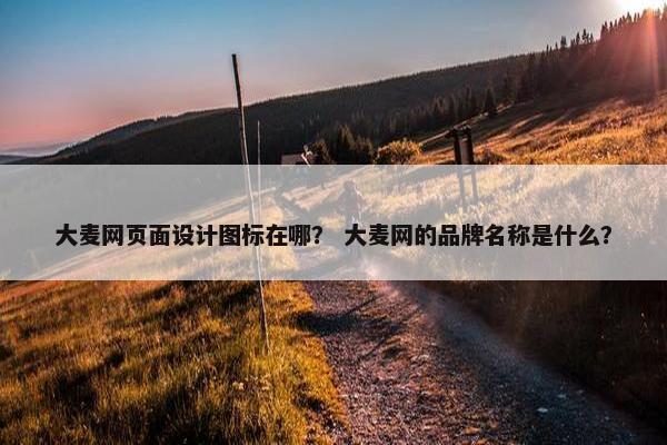 大麦网页面设计图标在哪？ 大麦网的品牌名称是什么？