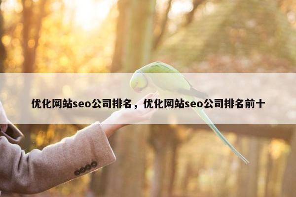 优化网站seo公司排名，优化网站seo公司排名前十