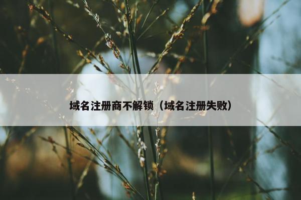 域名注册商不解锁（域名注册失败）