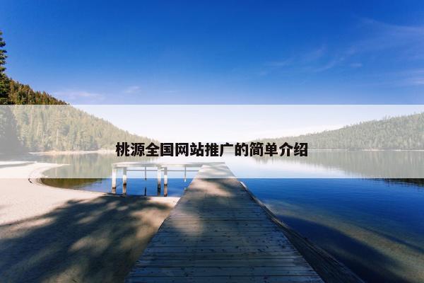 桃源全国网站推广的简单介绍