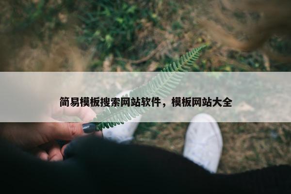简易模板搜索网站软件，模板网站大全