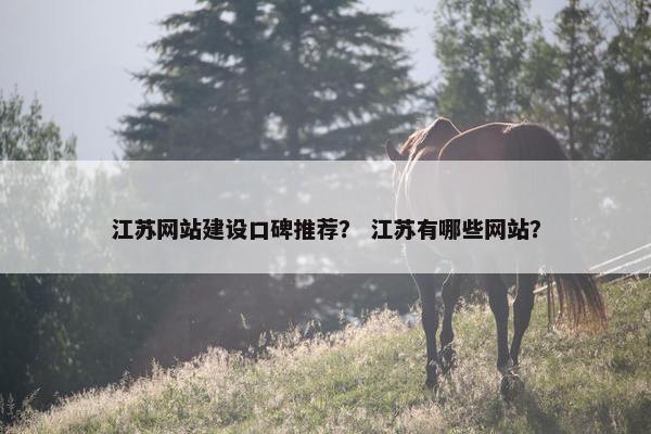 江苏网站建设口碑推荐？ 江苏有哪些网站？