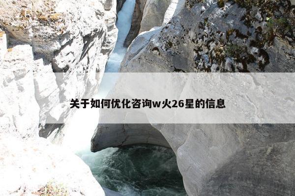 关于如何优化咨询w火26星的信息