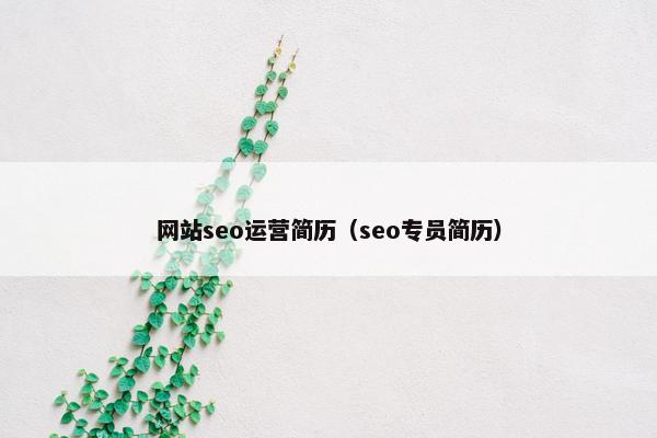 网站seo运营简历（seo专员简历）