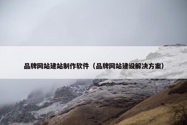 品牌网站建站制作软件（品牌网站建设解决方案）
