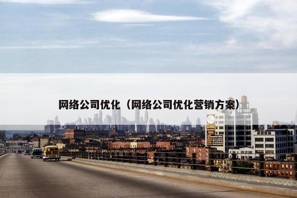 网络公司优化（网络公司优化营销方案）