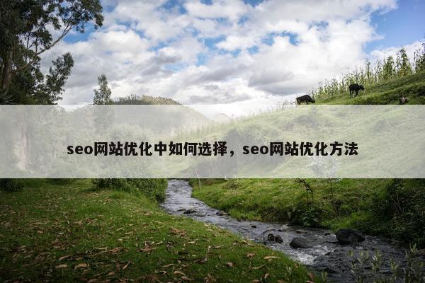 seo网站优化中如何选择，seo网站优化方法
