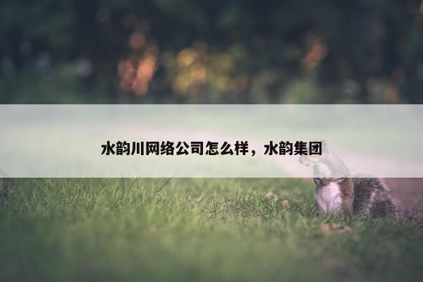 水韵川网络公司怎么样，水韵集团