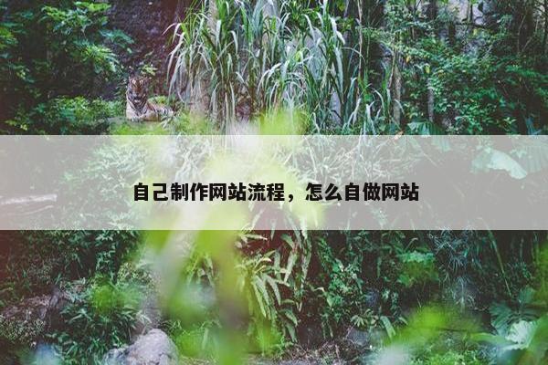 自己制作网站流程，怎么自做网站