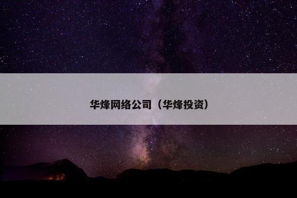 华烽网络公司（华烽投资）