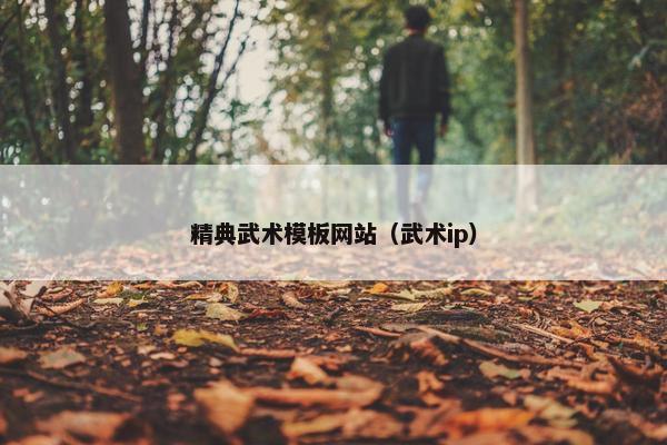 精典武术模板网站（武术ip）