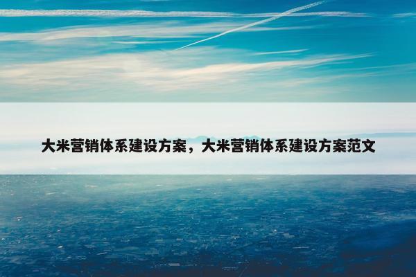 大米营销体系建设方案，大米营销体系建设方案范文