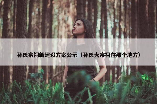 孙氏宗祠新建设方案公示（孙氏大宗祠在那个地方）