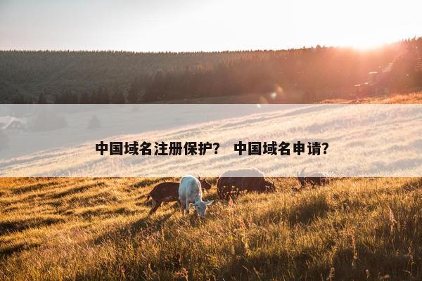 中国域名注册保护？ 中国域名申请？
