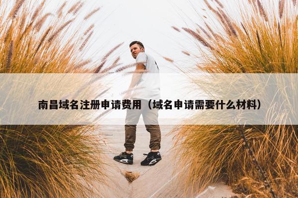 南昌域名注册申请费用（域名申请需要什么材料）