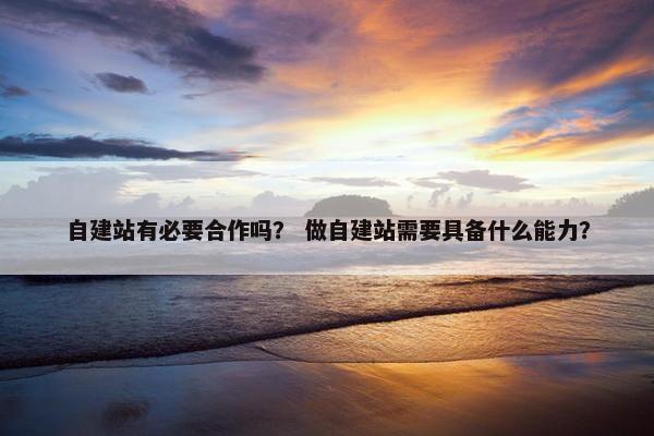 自建站有必要合作吗？ 做自建站需要具备什么能力？