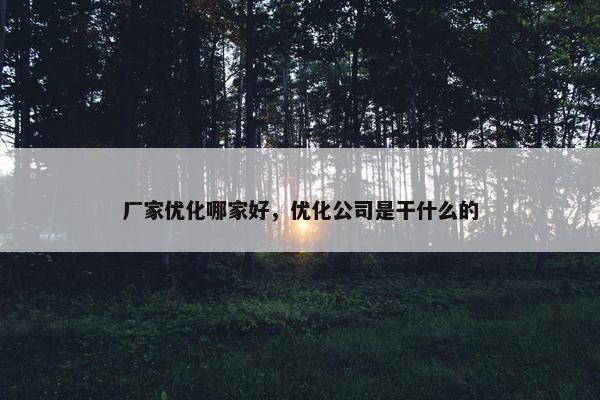 厂家优化哪家好，优化公司是干什么的